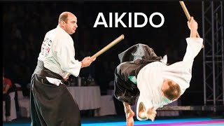 EXPLOSIVE Aikido demonstration  best self defense techniques [upl. by Orvan]