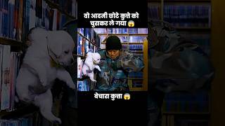 इस प्यारे से कुत्ते के बच्चे को उस आदमी ने चुरा लिया 😱  short anime cartoon dog [upl. by Iives]