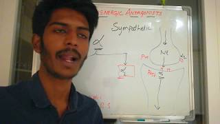 Adrenergic Antagonist part 1 [upl. by Giesser]