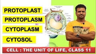 PROTOPLAST PROTOPLASM CYTOPLASM CYTOSOL  CELL THE UNIT OF LIFE Class 11  NCERT Biology  NEET [upl. by Wadsworth]