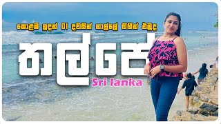 සුද්දොත් යන තල්පේ  01 දවසින් තල්පේ ගිහින් එමුද   VLOG 18 [upl. by Epoillac]