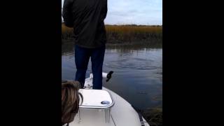 Folly Beach Fishing [upl. by Ysac772]