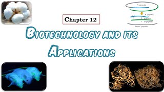 Biotechnology and Its Applications  Part 1 Applications in Agriculture [upl. by Annaierb]