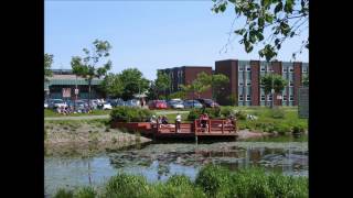 Memorial University of Newfoundland [upl. by Nahshun]