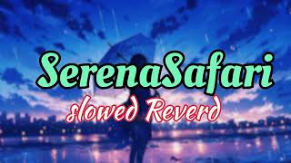 Serena Safari Song LofiSlowed Reverd [upl. by Dira]