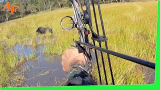 🐗 Pig Compound Bow Hunting Australia Wild Boars EP21 [upl. by Enyrb]