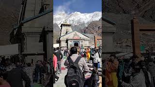 Jai Baba Kedar kedarnath bholenath shiv jaiho travel astha like subscribe share [upl. by Hgielrebma]