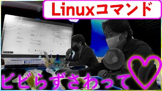 【サーバー】【Linux】【コマンド】第2弾！難しく考えないでOK！Linuxのコマンドを学ぼう！ [upl. by Raouf]