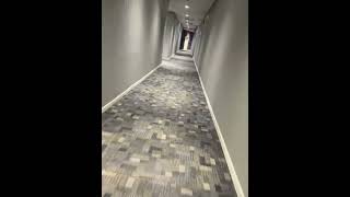 Hotel tour at Holiday Inn in Crystal Lake [upl. by Ladonna]