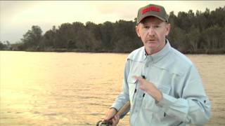 How to use  Rapala  DT Dives To [upl. by Hull]