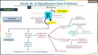 Leçon 8 Outils de la signalisation intracellulaire 1 Récepteurs [upl. by Corb]