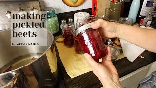 Making Pickled Beets in Appalachia [upl. by Isak]