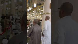 Riyaz ul jannah ♥️ kaaba shorts youtubeshorts [upl. by Mihar]