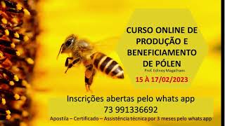 CURSO POLEN [upl. by Noirad576]