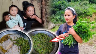 Village style Fiddlehead pickles Making amp Eating सादेको निगुरोको छोप सँग भात Niguro Chhop Recipe [upl. by Suoivart]