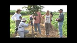 SIEMBRA Y COSECHA TV Finca de nogal de pecán [upl. by Magnolia]