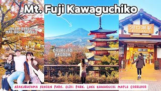 Day 2 🌸 Mt Fuji Kawaguchiko Arakurayama Sengen Park Oishi Park Lake Kawaguchi Maple Corridor [upl. by Mcferren]