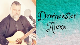 Downeaster AlexaBilly JoelAcoustic cover by Marko Jankovic [upl. by Ahsiekahs]