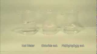 Reaction of chloride solution with Lead Acetate [upl. by Grubman]