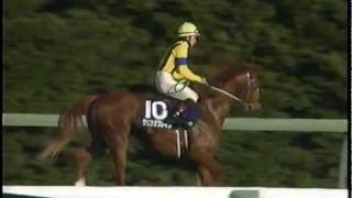 朝日杯3歳S 1996年／マイネルマックス [upl. by Desiri]