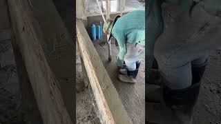 Good Plastering Wall Rebeam Construction amazing youtubeshorts capcut shorts [upl. by Oiluarb]