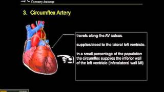 1215 Lead ECG Coronary Anatomy Part 3 [upl. by Nytram]