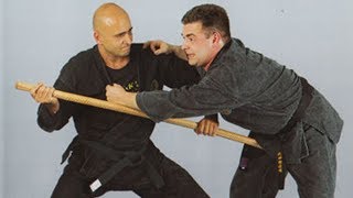 Ninjutsu  Techniques du Bujinkan Budo Taijutsu [upl. by Hoon]