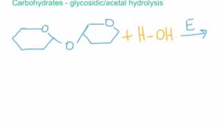 Hydrolysis Reactions for Esters Amides and Glycosidic Bonds [upl. by Attesor]