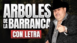 ARBOLES DE LA BARRANCA con LETRA El Coyote y su Banda Viejitas Rancheritas [upl. by Nitsa]