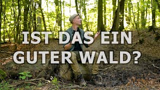 Ist das ein guter Wald Eine Analyse vor Ort [upl. by Chico255]