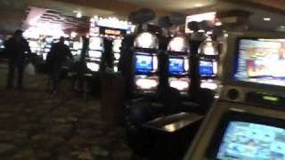 fitzgeralds casino las vegas [upl. by Oiredised88]