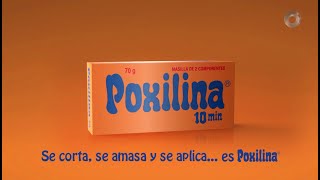 POXILINA Argentina 2021 [upl. by Sibley]