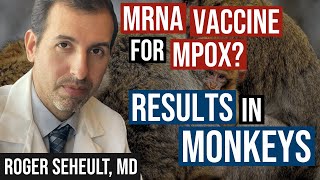 Mpox New mRNA Vaccine Versus Traditional Live Virus in Animal Series [upl. by Ycak]