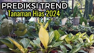 PREDIKSI TREND TANAMAN HIAS 2024 amp SEKALIAN REVIEW HARGANYA versi BARDI FLOWER [upl. by Mairym]