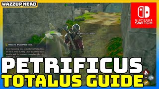 How to Use Petrificus Totalus in Hogwarts Legacy on Nintendo Switch  Easy Guide [upl. by Canter376]