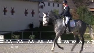 Concours national de dressage au Haras de la Vendée [upl. by Coheman27]