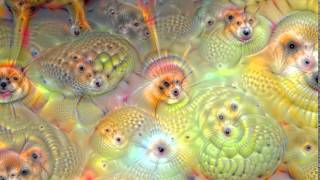 Google Deepdream AI [upl. by Namwob501]