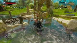 The Witcher 3 Deathmarch  Arthach Palace Ruins Hanse Base No DamageNo Quen NG [upl. by Ennaesor]