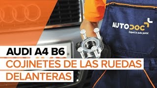 Cómo cambiar los cojinetes de las ruedas delanteras en AUDI A4 B6 INSTRUCCIÓN [upl. by O'Doneven]