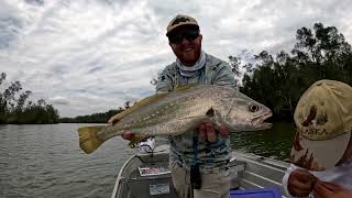 Fishing the Gold CoastNoosa River with Soft Plastics NEW PB [upl. by Siuqramed]