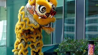 CNY 2016  Acrobatic Lion Dance 舞獅 Múa Lân by Kwong Ngai 光藝 Tropicana City Mall 822016 4K UHD [upl. by Kcirddor]