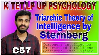 TRIARCHIC THEORY OF INTELLIGENCE BY STERNBERG ട്രയാർകിക്ക്‌ സിദ്ധാന്തംK TET LP UP PSYCHOLOGY [upl. by Oniotna]