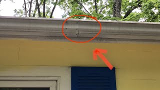 How To Repair Leaky Gutter [upl. by Esimehc]