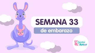 Semana 33 de embrazo [upl. by Shalna]