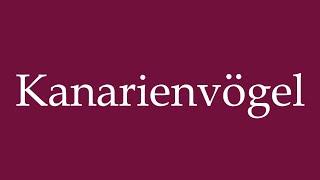 How to Pronounce Kanarienvögel Canaries Correctly in German [upl. by Marchall633]