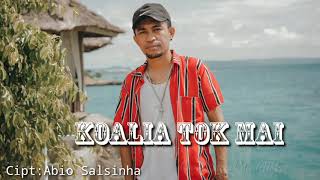 KOALIA TOK MAIABIO SALSINHA HENDMARKHOKACOVER [upl. by Nanah]