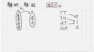 확률변수와 확률분포 [upl. by Gorga]