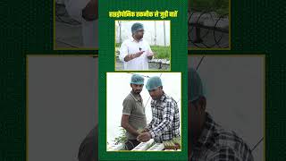 हाइड्रोपोनिक तकनीक में प्रबंधन कुछ ज़रुरी बातें  Hydroponic Technique shorts [upl. by Ardnahcal]