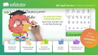 Chromosomen – Bau und Funktion einfach erklärt – Biologie 9  13 Klasse [upl. by Tebor]