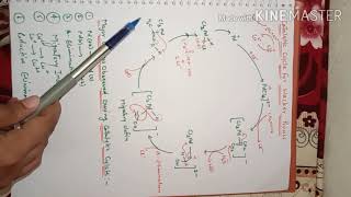 Oxidation of Olefins Wackers Process [upl. by Hunsinger]